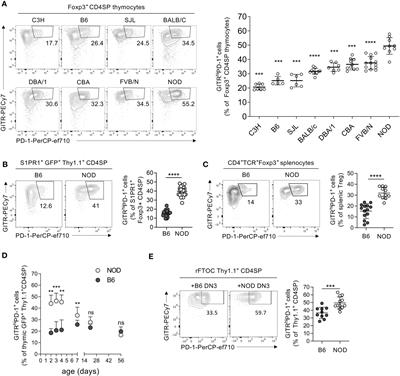 The type 1 diabetes susceptibility locus Idd5 favours robust neonatal development of highly autoreactive regulatory T cells in the NOD mouse